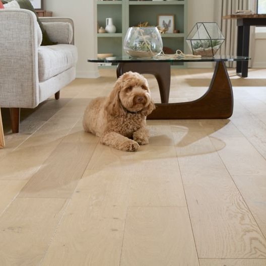 TecWood pet friendly flooring by Mohawk