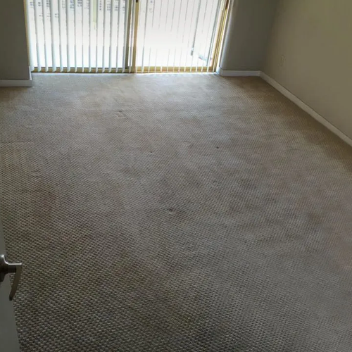 New carpet by Cornerstone Flooring Brokers in Glendale AZ